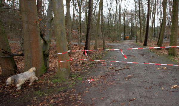 Datei:Waldfriedhof gesperrt wg Friederike.jpg