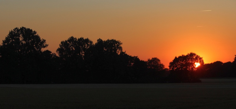 Datei:Sonnenuntergang beim Forsthof.jpg