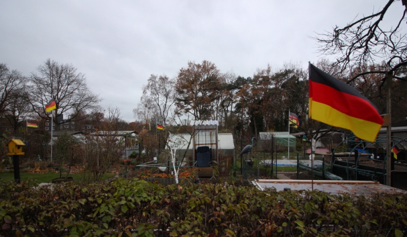 Datei:Deutschlandflaggen Kleingartenanlage.jpg