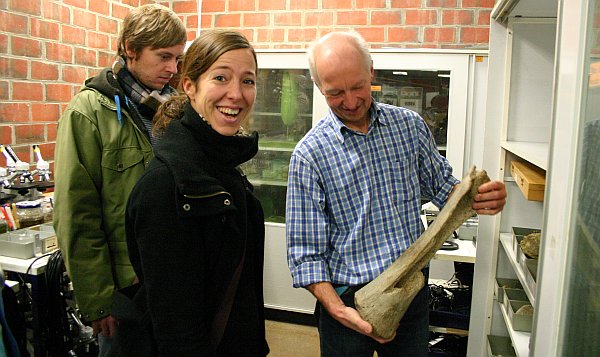 Datei:Gsot Knochen.jpg