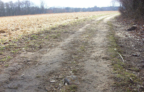 Datei:Grenzstein Alte Landstraße.jpg