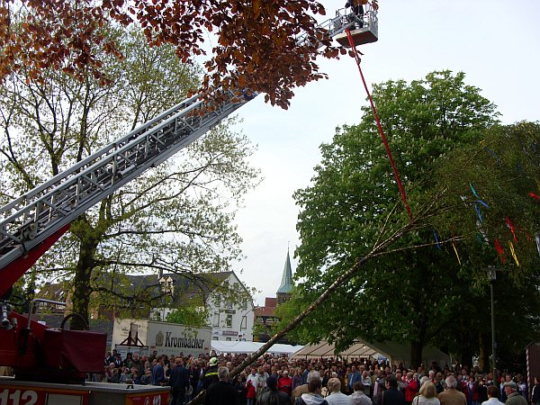 Datei:Maibaum.jpg