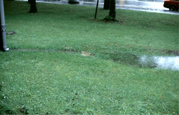 Datei:1998.05. Sickermulde 2.jpg