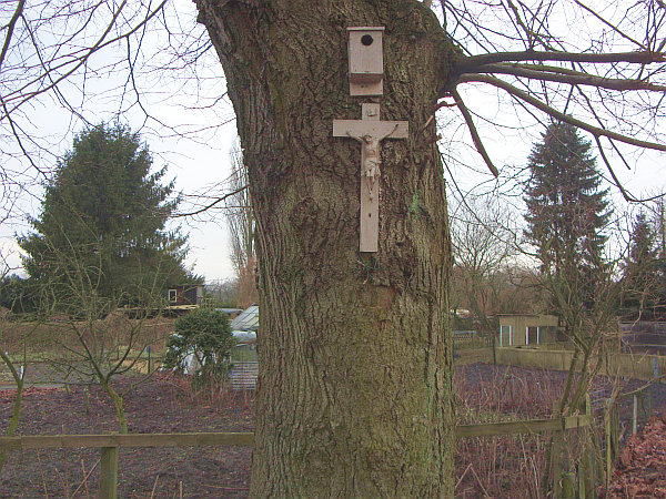 Datei:Kreuz Büschkenwall.jpg