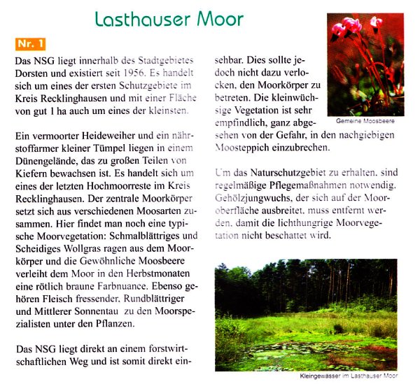 Lasthausener Moor Text.jpg