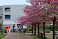 Vorschaubild der Version vom 18:07, 7. Apr 2024