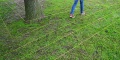 Vorschaubild der Version vom 23:13, 12. Sep 2010