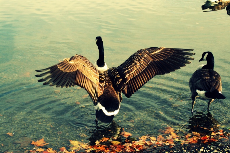 Datei:IMG 0040öl.jpg