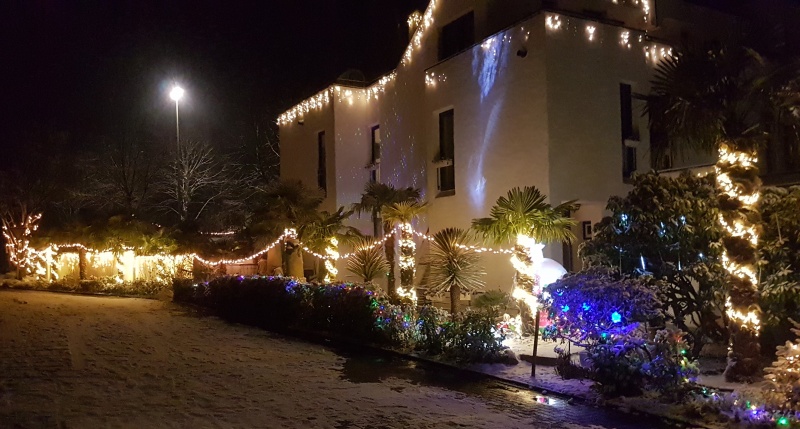 Datei:20210116 Palmen-Winterhaus Gecksbach.jpg