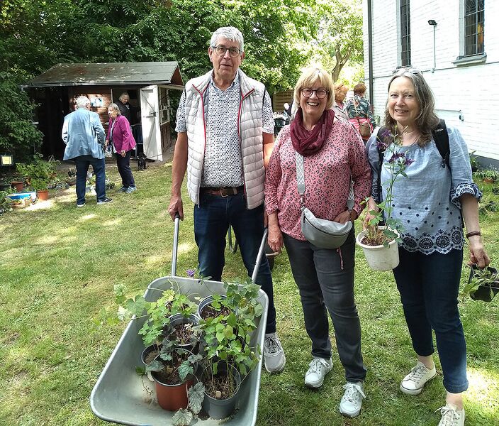 Datei:Stauden25 14 gr.jpg