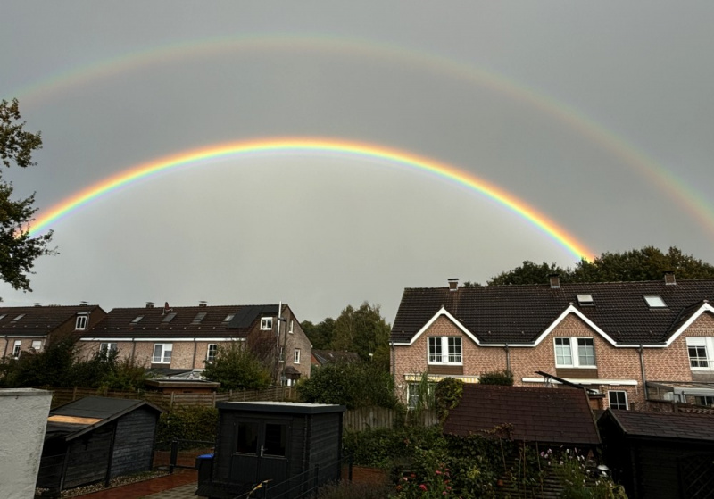 Datei:KÜHN Regenbogen.jpg