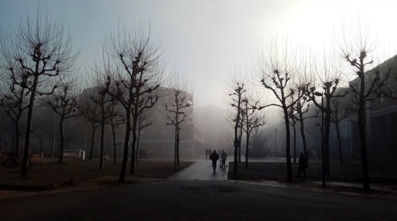 Datei:Wulfener Markt Nebel.jpg