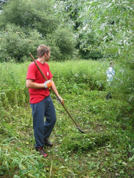 Datei:IMG 3806.JPG
