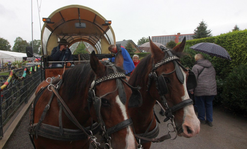 Datei:HV 100 Pferdewagen.jpg