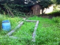 Schulgarten, Foto: Knappmann, Foto: 30.06.2014