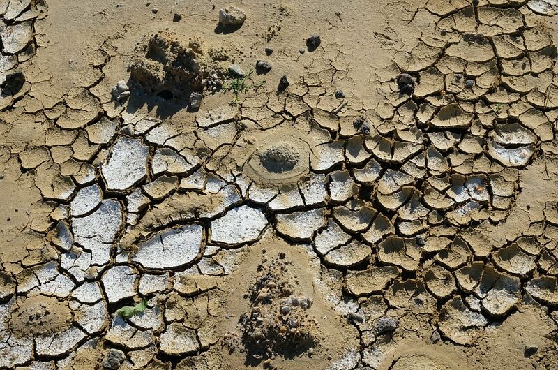 Datei:Trockenrisse Abrissfläche Wulfener Markt.jpg