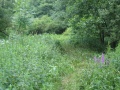 Vorschaubild der Version vom 10:31, 12. Jul 2009