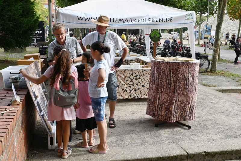 Datei:KS24 BLUDAU hohemarkerleben.jpg