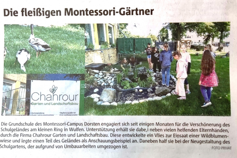 Datei:2023.06.10. Dorstener Nachrichten.jpg