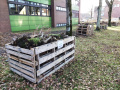 Grünabfälle wurden in Gefäße aus Paletten gefüllt. Foto: 10.02.2023 Kna