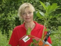 Vorschaubild der Version vom 09:12, 8. Jul 2009