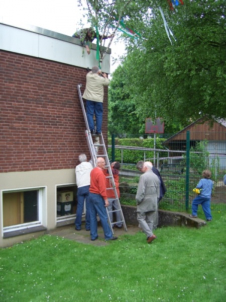 Datei:Maibaum aufstellen MGV HS.jpg