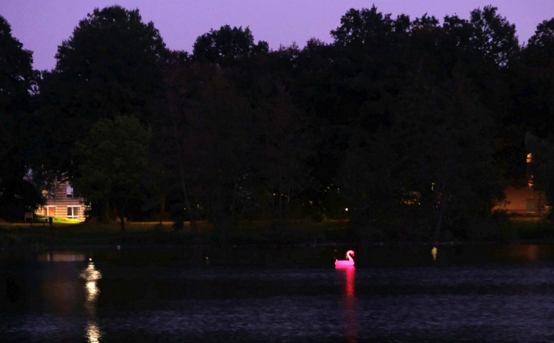 Datei:BKK Schwan.jpg