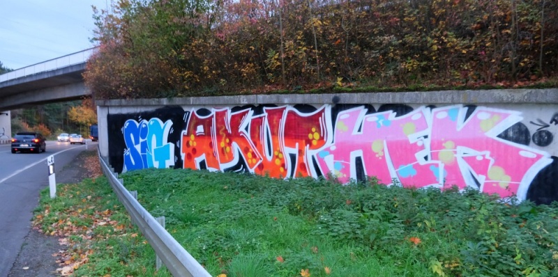 Datei:Graffiti Sig Akut.jpg