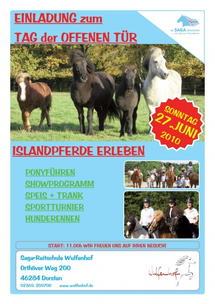 Datei:ISLANDPFERDE ERLEBEN.jpg