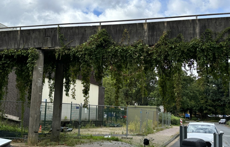 Datei:KÜHN Brücke bewachsen.jpg